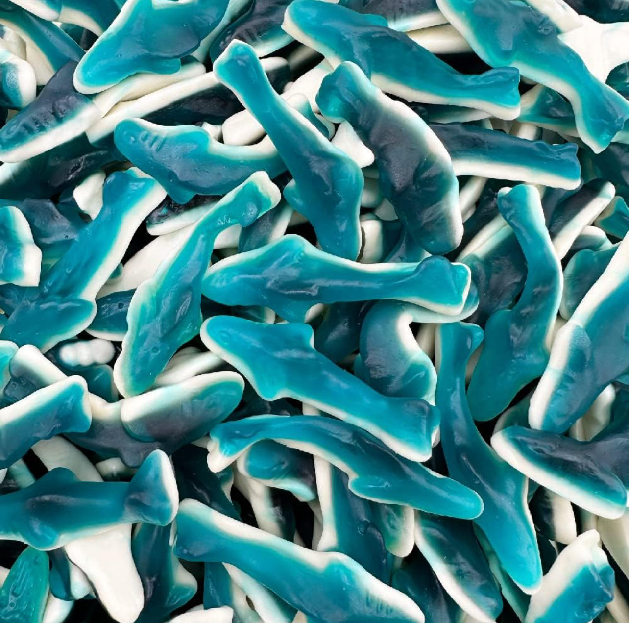 Gummy Shark Candy - 2.5lbs