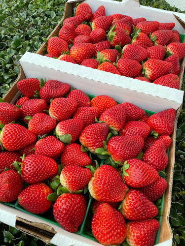 Strawberry Flats - $48
